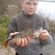 Eurasian perch
