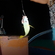 Common bluestripe snapper