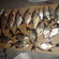Carp bream