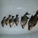 Carp bream