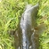 Ratan goby
