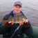 Eurasian perch