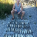 Mackerel
