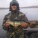 Eurasian perch