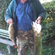 Eurasian perch