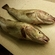 Atlantic cod