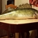 Pike perch