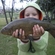 Tench