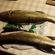 Pike perch