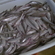 European smelt