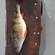 Eurasian perch