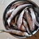 European smelt