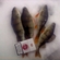 Eurasian perch