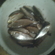 Roach