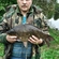 Crucian carp