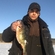 Eurasian perch