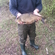 Carp bream