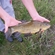 Tench