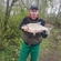 Carp bream