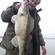 Pike perch