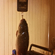 Crucian carp