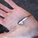 Roach