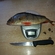 Eurasian perch