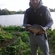 Prussian carp