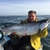 Atlantic salmon