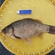 Prussian carp