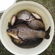Crucian carp