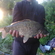 Prussian carp