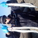 Garfish