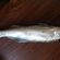 Pike perch