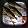 Eurasian perch