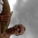 Grass carp