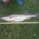 Pike perch