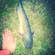 Wels catfish