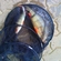 Eurasian perch