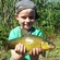 Tench
