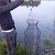 Carp bream