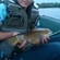 Tench