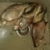Carp bream