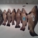 Tench