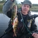 Eurasian perch
