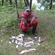 Prussian carp
