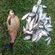 Carp bream