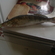 Pike perch