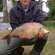 Carp bream