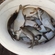 Carp bream